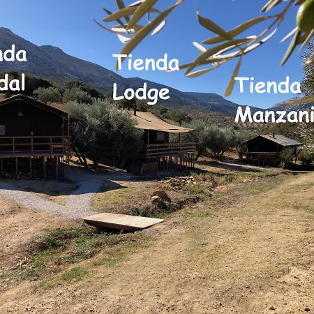 Hotel Cortijo Dos Santos à Valle de Abdalagís Extérieur photo