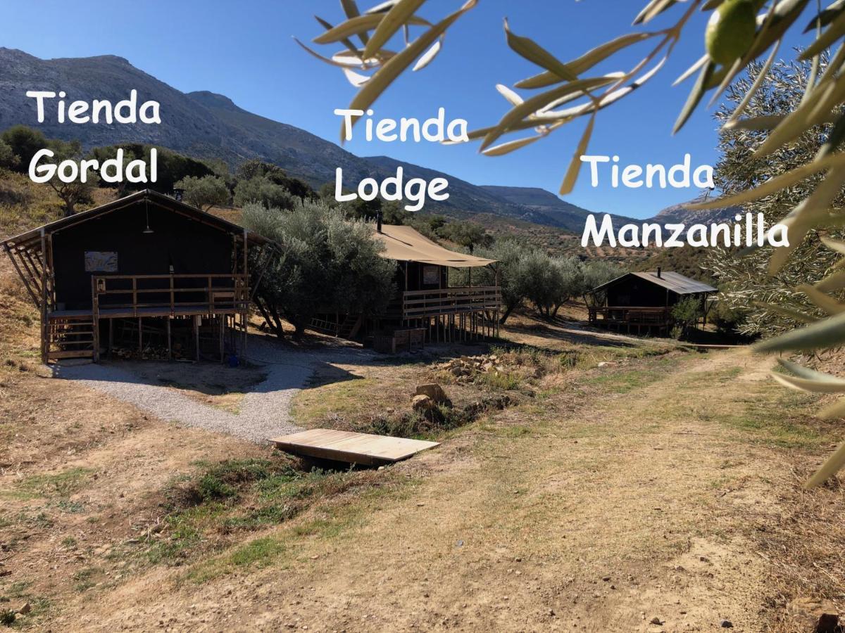 Hotel Cortijo Dos Santos à Valle de Abdalagís Extérieur photo