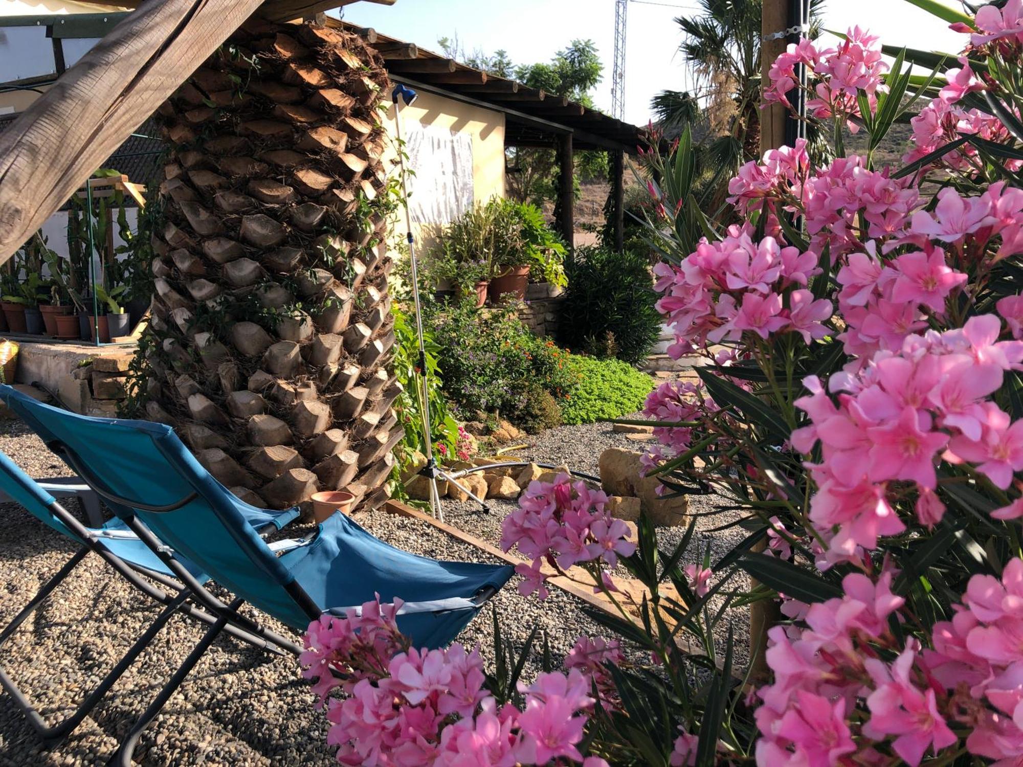 Hotel Cortijo Dos Santos à Valle de Abdalagís Extérieur photo